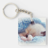 Slapende Siamese Kitten Paws Sleutelhanger (voorkant)