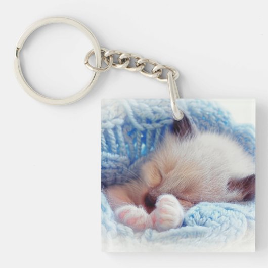 Slapende Siamese Kitten Paws Sleutelhanger (voorkant)