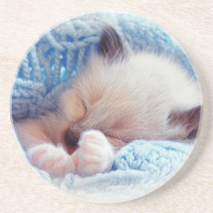 Slapende Siamese Kitten Paws Zandsteen Onderzetter