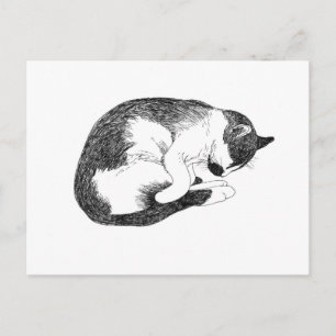 Slapende Tuxedo Kat Minimalistische Tekening Briefkaart