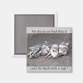 Slapende varkens magneet (Voorkant / Achterkant)