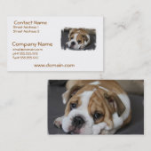 Slapende Visitekaartjes (Voorkant / Achterkant)