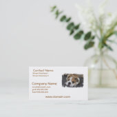 Slapende Visitekaartjes (Staand voorkant)