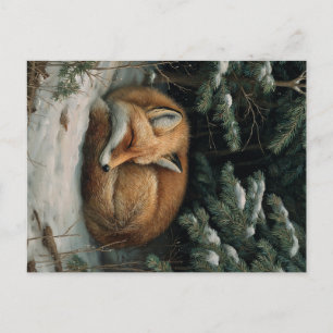 Slapende Vos in Winterbos Briefkaart
