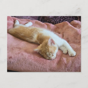 Slapende vuurkleurige kitten briefkaart