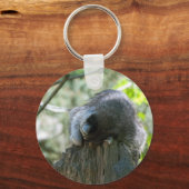 Slapende Wasbeer Sleutelhanger (Voorkant)