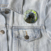 Slapende Wasbeer Speld Ronde Button 5,7 Cm (In situ)
