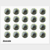 Slapende Wasbeer Stickers (Vel)