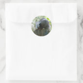 Slapende Wasbeer Stickers (Tas)
