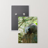 Slapende Wasbeer Stickers Button (Voorkant / Achterkant)