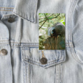 Slapende Wasbeer Stickers Button (Insitu)
