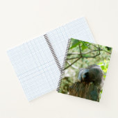 Slapende Wasbeer Stickers Notitieboek (Binnen)