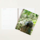 Slapende Wasbeer Stickers Planner (Display)
