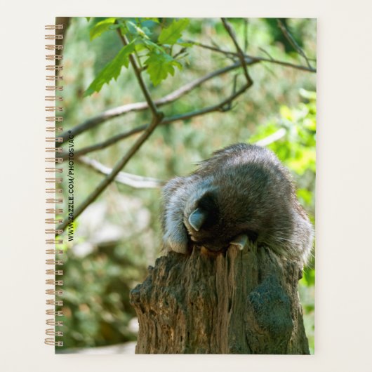 Slapende Wasbeer Stickers Planner (Voorkant)
