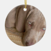 Slapende Weimeraner Dog Ornament (Voorkant)