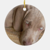 Slapende Weimeraner Dog Ornament (Achterkant)