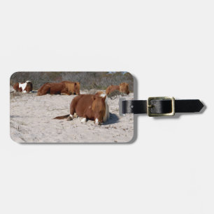 Slapende Wilde Poneys in Assateague National Park Bagagelabel