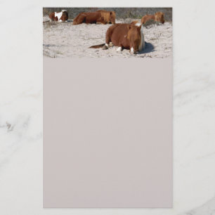 Slapende Wilde Poneys in Assateague National Park Briefpapier