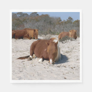 Slapende Wilde Poneys in Assateague National Park Servet