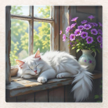 Slapende witte kat en paarse bloemen 