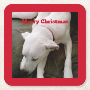 Slapende Witte Puppy Hond Kerst Vierkant Kartonnen Onderzetters