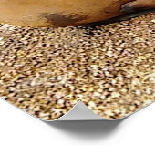 Slapende zeeleeuwenbaby's poster (Hoek)