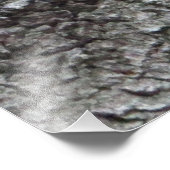 Slapepy Squirrel Foto afdrukken (Hoek)