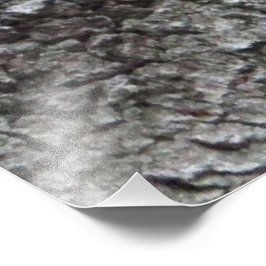 Slapepy Squirrel Foto afdrukken (Hoek)