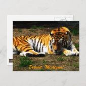 slaperig briefkaart (Voorkant / Achterkant)