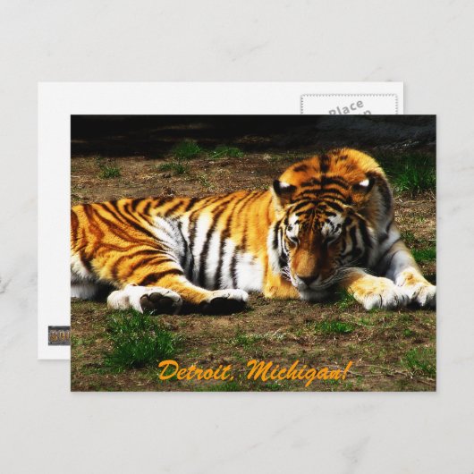 slaperig briefkaart (Voorkant / Achterkant)