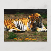 slaperig briefkaart (Voorkant)