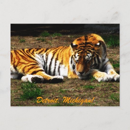 slaperig briefkaart (Voorkant)