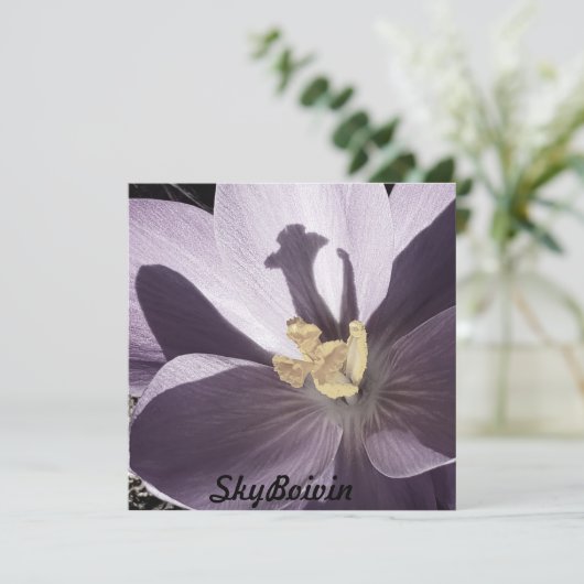 Slaperig Crocus-Poster (Staand voorkant)