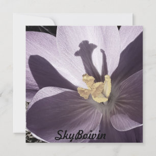 Slaperig Crocus-Poster