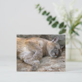 Slaperig Hoofd Briefkaart (Staand voorkant)