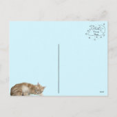 Slaperig Kat Taz - Kat Briefkaart (Achterkant)