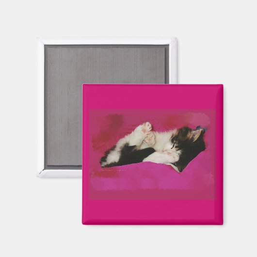 Slaperig katje in roze magneet (Voorkant / Achterkant)