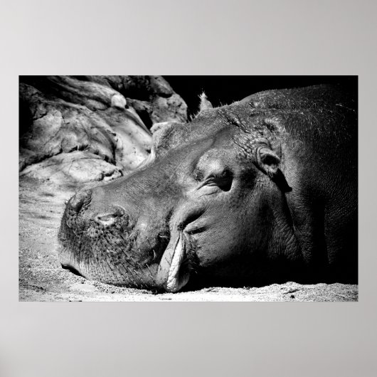 slaperig poster (Voorkant)