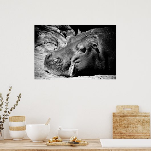 slaperig poster (Keuken)