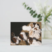 Slaperige Baby geiten Briefkaart (Staand voorkant)