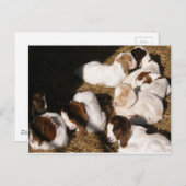 Slaperige Baby geiten Briefkaart (Voorkant / Achterkant)