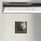 Slaperige cairn terrier magneet (Insitu (Vaatwasser))