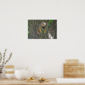 Slaperige eekhoorn die afkoelt op een boomafdeling poster (Keuken)