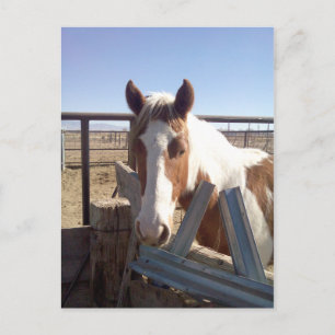 Slaperige Eyed Verf Briefkaart