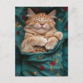 Slaperige Gemberkat Briefkaart (Voorkant)
