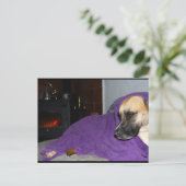 Slaperige Hond bij Open Haard Briefkaart (Staand voorkant)