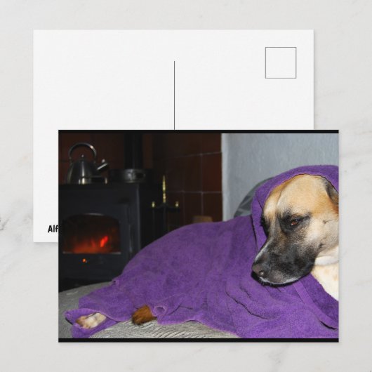Slaperige Hond bij Open Haard Briefkaart (Voorkant / Achterkant)