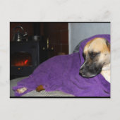 Slaperige Hond bij Open Haard Briefkaart (Voorkant)