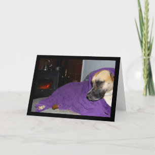 Slaperige Hond bij Open Haard Kaart