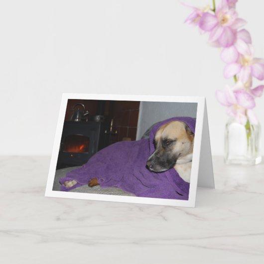 Slaperige Hond bij Open Haard Kaart (Orchidee)
